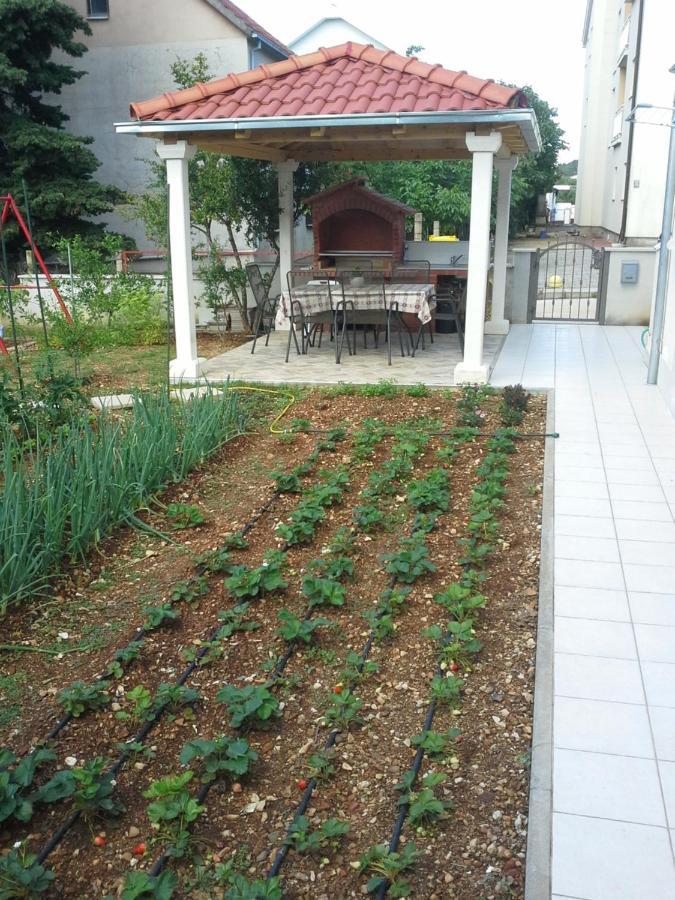 Ferienwohnung Sanja M 1 Orebić Exterior foto